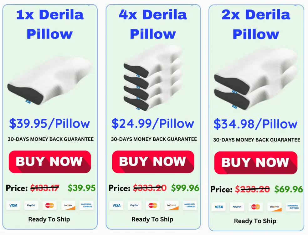 derila pillow price